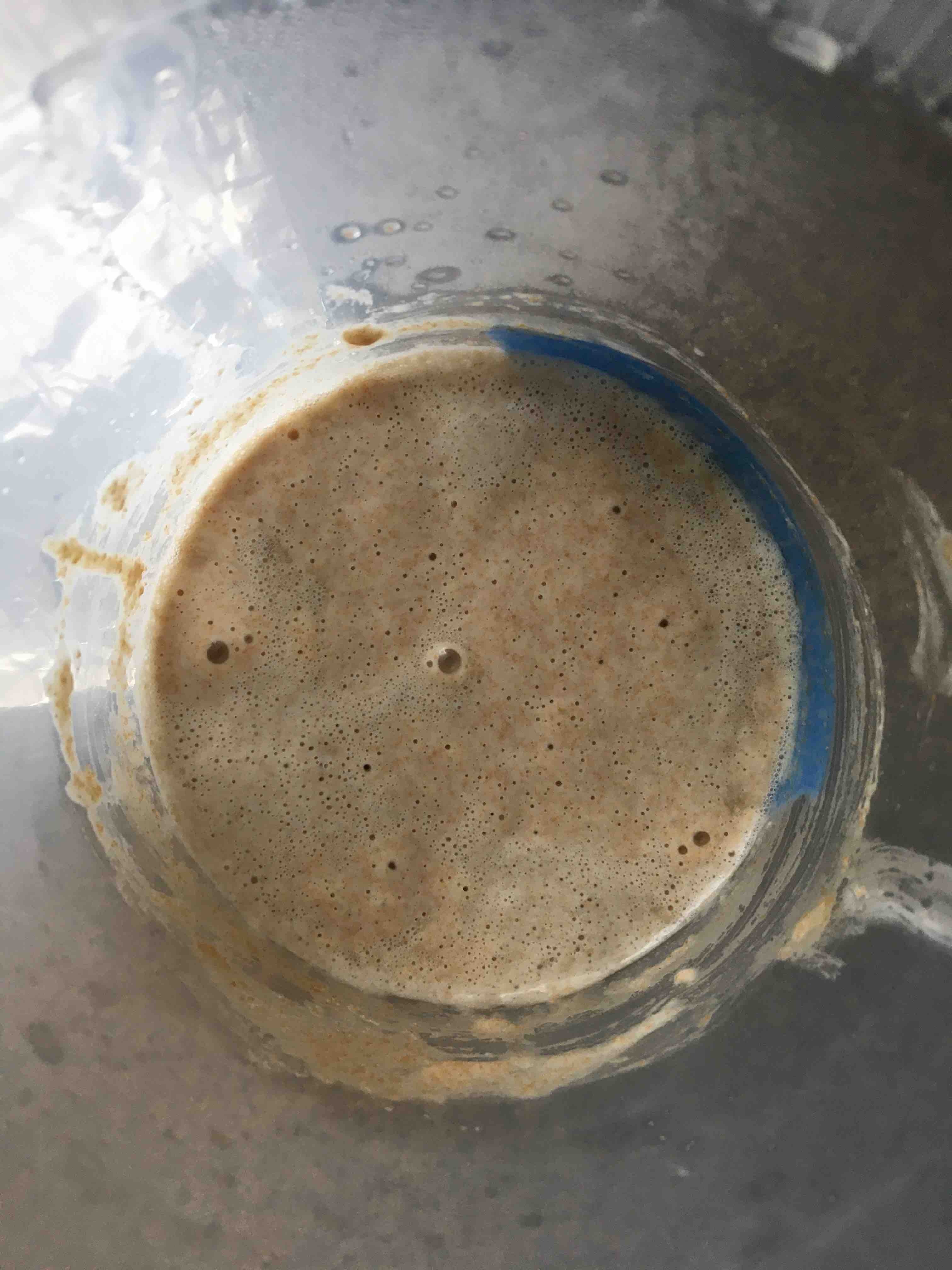 JAM house Krystal sourdough starter