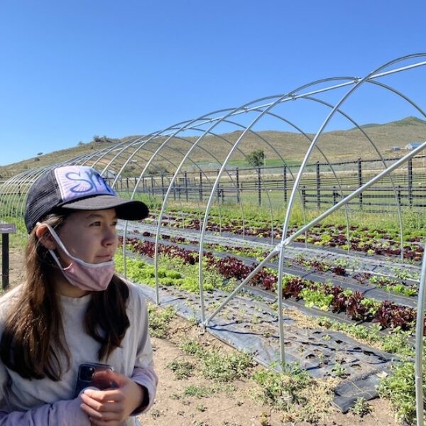 Imogen farm