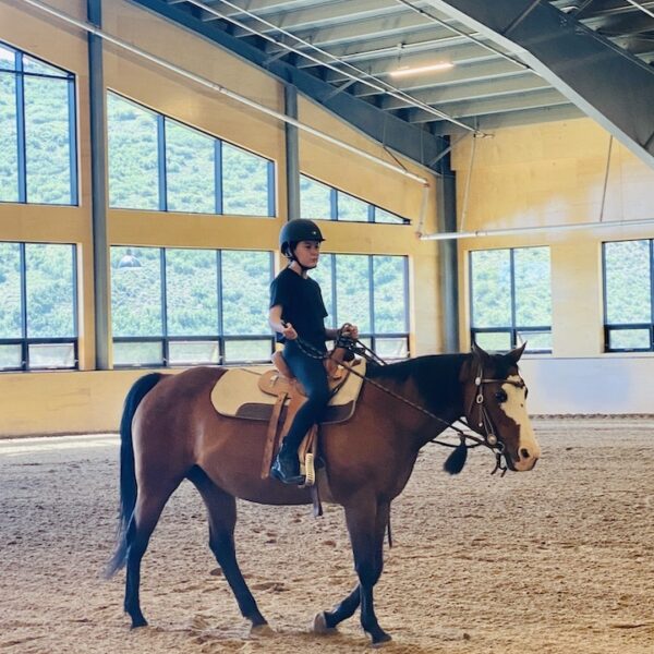 Imogen horse