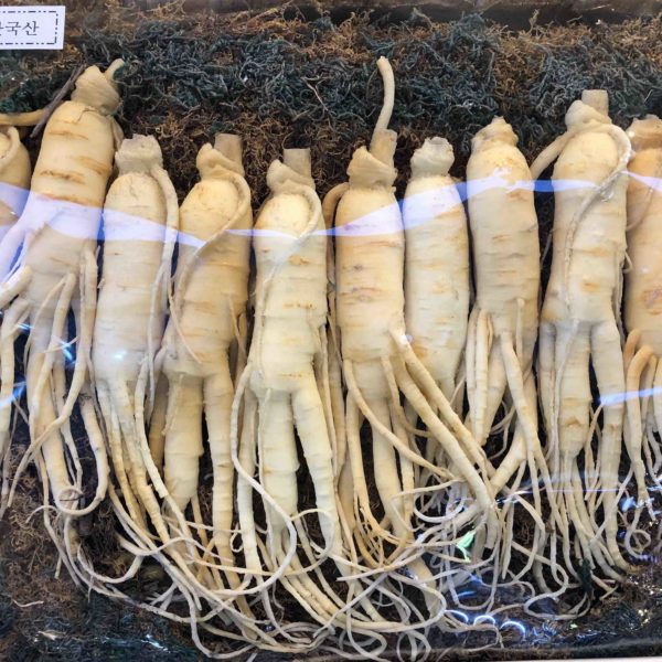 Seoul Ginseng
